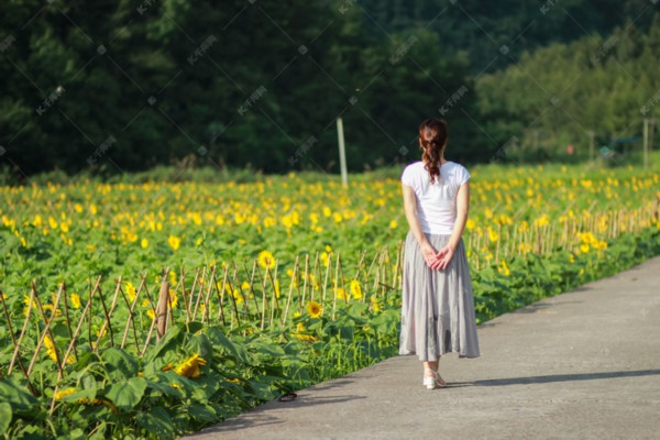 音乐与茶香,武汉音乐学院的文化雅集 音乐与茶香,武汉音乐学院的文化雅集