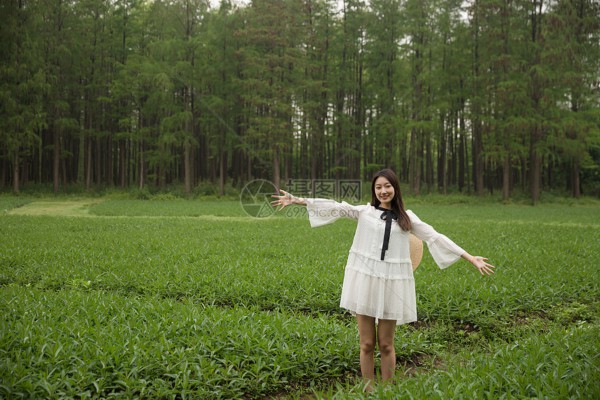 武汉茶香飘，养生生活新体验